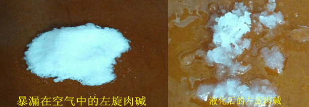 液化后的左旋肉堿,西安天寶生物提供。